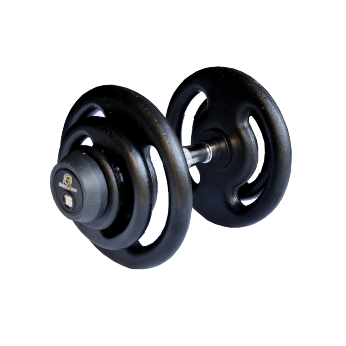 Dumbbell Pintado