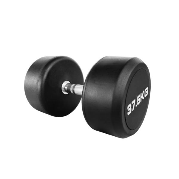 Dumbbell Monobloco Redondo Injetado